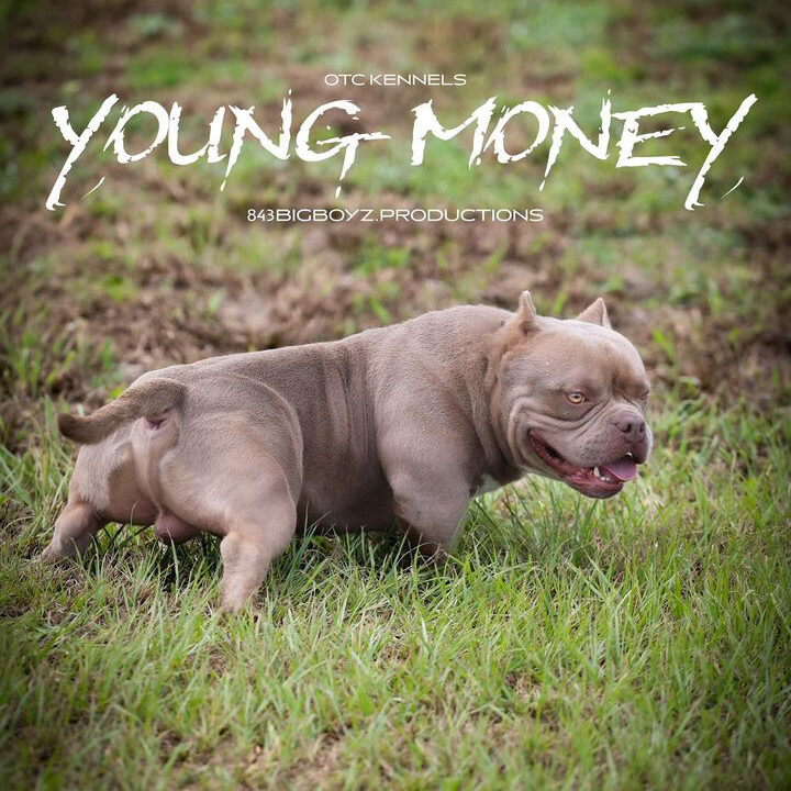 young money promo pic