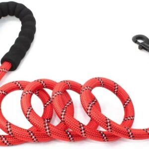 Doggy Tales Braided Rope Dog Leash, 5-ft long, Red