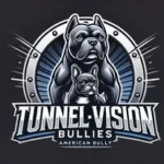 tunnelvisionbullies